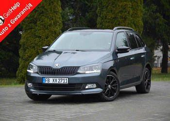 Škoda Fabia Monte Carlo DSG Ledy Panorama Klimatronic Full III (2014-)