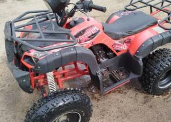 Quad 250 manual 4+1 2020