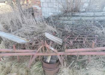 Sprzedam gruber ładny