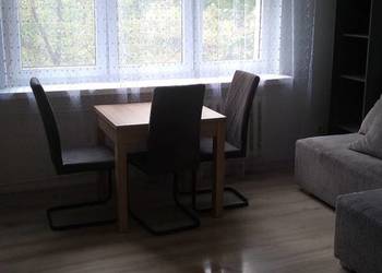 mieszkanie na wynajm na umowe okazyjną