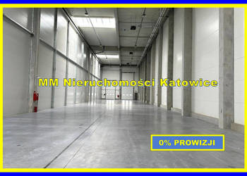 Magazyny do wynajęcia po 700 m2 Siemianowice Śląskie - 0% PROWIZJI!