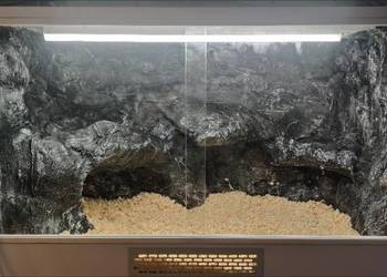 Terrarium dla agamy brodatej gekona lamparciego