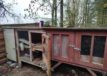 Klatka dla królików