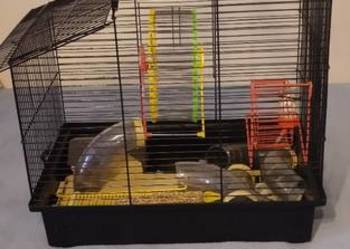 Klatka z akcesoriami oraz pokarm