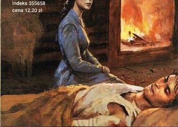 SAGA RAIJA ZE ŚNIEŻNEJ KRAINY T. 05 - DOM NAD MORZEM