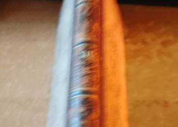 POLSKA  DZIEJE I RZECZY JEJ, T. XII - J.  LELEWEL-Poznań 1859,, półskórek