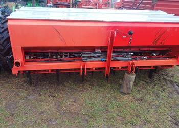 tume siewnik zbozowy