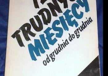 12 trudnych miesięcy od grudnia do grudnia - Agnieszka Kosno