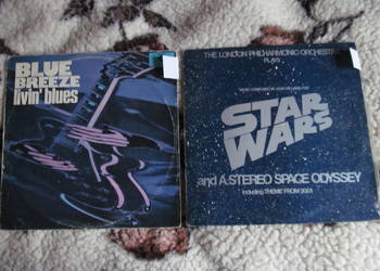 Livinblue i Philharmonic Orchestra - zestaw 2 płyt winylowych