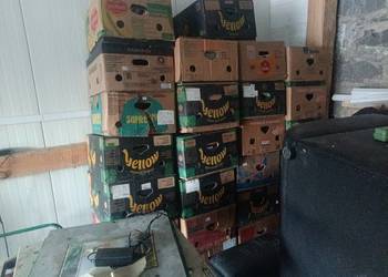 Mix towarów na giełdę staroci. 30 kartonów pełnych