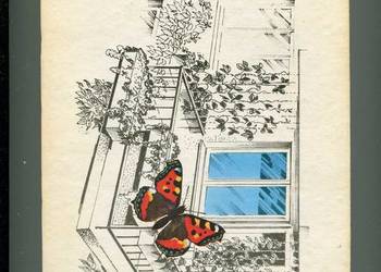 Balkony loggie tarasy