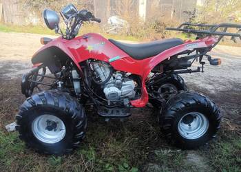 bashan 200 manual ladny ,transport