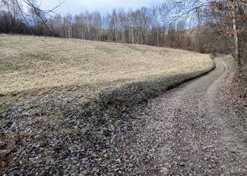 Działka rolna Czułów 70ary