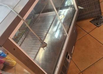 Witryna chłodnicza gamko