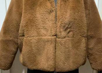 Kurtka z misia brązowa Kurtka z misia brązowa