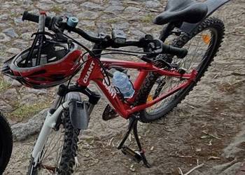 Giant xtc Jr 24"