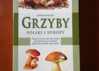 Grzyby Polski i Europy David Pegler