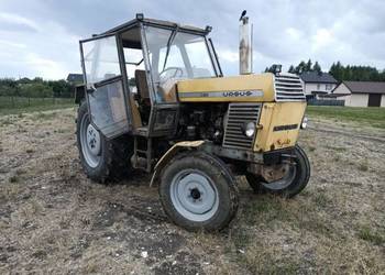 Ursus c385