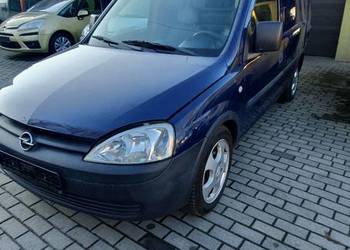 Combo van Niemiec vat1 1.3tdci