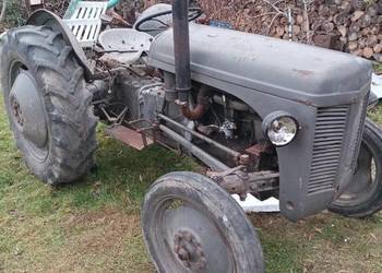 Massey Ferguson 20 tea benzyna