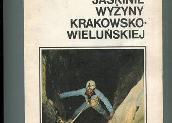 Jaskinie Wyżyny Krakowsko-Wieluńskiej -Mariusz Szelerewicz,  Andrzej Górny
