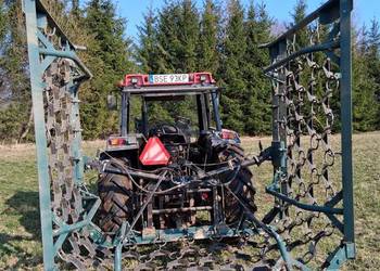 Włóka polowa, łąkowa