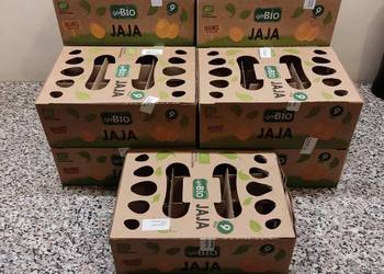 Opakowania wytłaczanki kartonowe na jajka(kwadratowe)