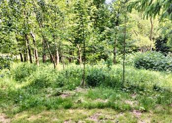Działka Zagórze Śląskie 10 arów