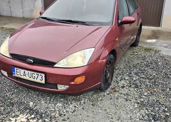 Sprawna Foczka za małe pieniążki