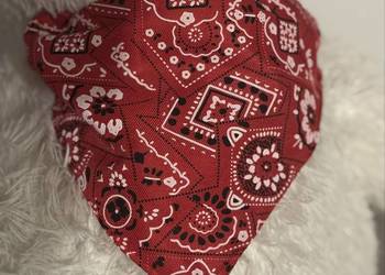 Czerwona bandamka dla psa z regulowanym zapięciem