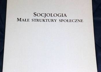 Socjologia. Małe struktury społeczne - Jan Turowski