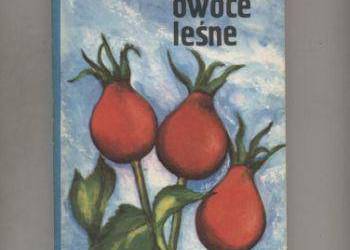 Jadalne owoce leśne - Grochowski