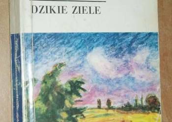 DZIKIE ZIELE - MARIA DĄBROWSKA FA