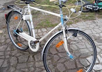 Damka Pegasus okazja