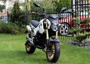 Honda MSX 125 Grom, kat.B
