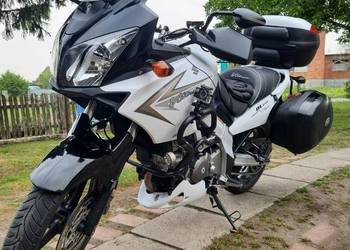 Suzuki V - Strom
