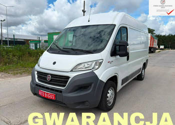 Fiat Ducato chłodnia salon polska