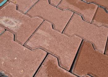 Kostka brukowa  kość