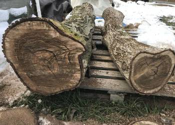 drewno orzechowe pień na foszty deski lub rzeźba ORZECH WLOSKI