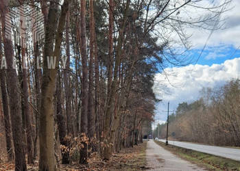 Oferta sprzedaży gruntu Łomianki Leśnych Dębów 2700 metrów