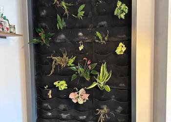 Ogród wertykalny z nawadnianiem