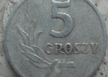 POLSKA-5 GROSZY-1961 r (b.z.)-AL-