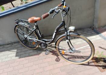Rower damka