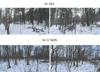 Syndyk sprzeda nieruchomość gruntową niezabudowaną w Skarżysku Kamiennej