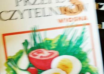 Przepisy wiosna lulinaria