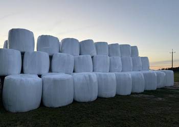 Bele sianokiszonki pierwszy pokos