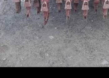 Sprzedam siewnik Sprzedam siewnik