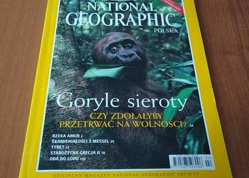 NATIONAL GEOGRAPHIC Polska  vol.2 nr 2 2000 luty Goryle sieroty