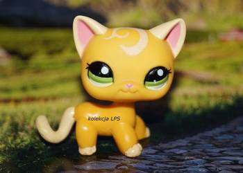 lps shorthair cat 2194