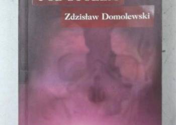 ZDZISŁAW DOMOLEWSKI CHMURKA POD STOŁEM  FA